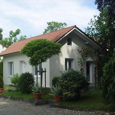 Villa Maja Markdorf Kültér fotó