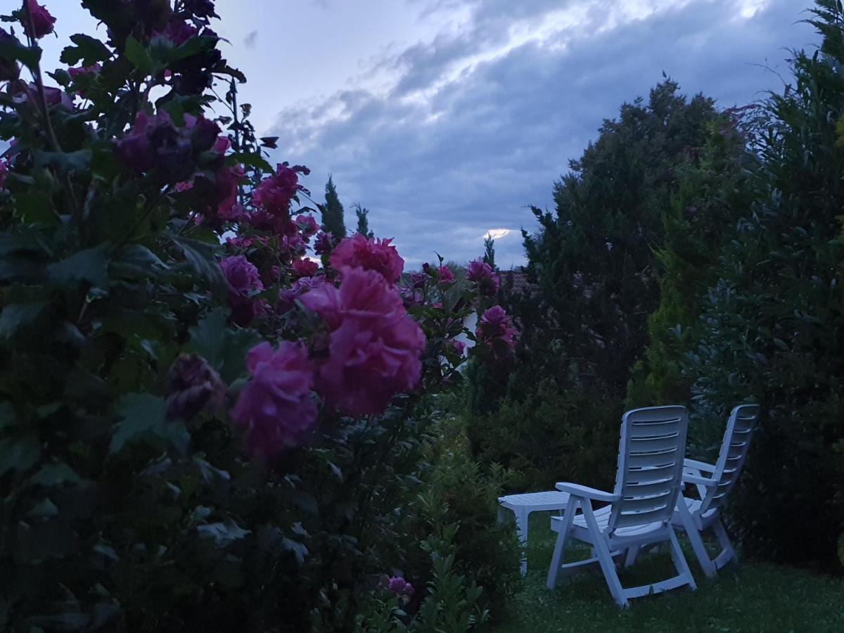 Villa Maja Markdorf Kültér fotó